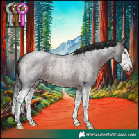 Horse Color:Brown Roan Splash Rabicano 
