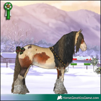 Horse Color:Bay  and Amber Cream Champagne Mushroom Tobiano 