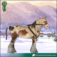 Horse Color:Bay  and Amber Cream Champagne Mushroom Tobiano 