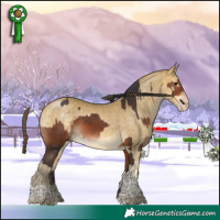 Horse Color:Bay  and Amber Cream Champagne Mushroom Tobiano 