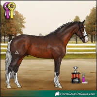Horse Color:Silver Brown