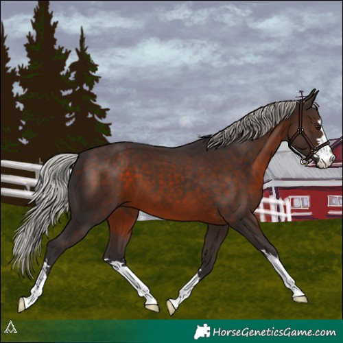 Horse Color:Silver Brown 