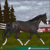 Horse Color:Brown 