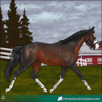 Horse Color:Brown 