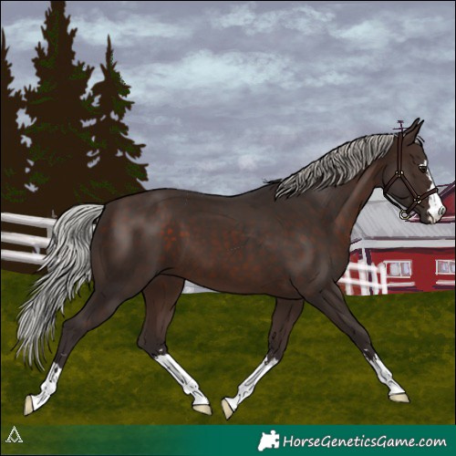 Horse Color:Silver Brown 
