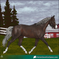 Horse Color:Silver Brown 