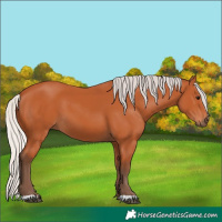 Horse Color:Silver Bay 