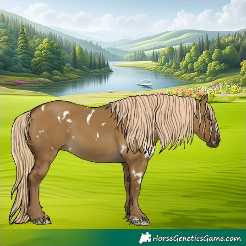 Horse Color:White Spotted Chocolate Palomino Dun Mushroom
