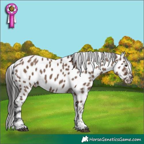 Horse Color:White Spotted Liver Red Dun Tobiano Near Leopard 