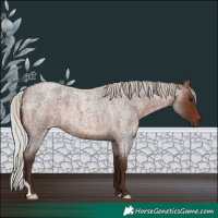 Horse Color:Silver Brown Roan 