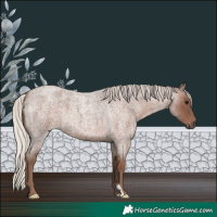 Horse Color:Silver Blue Roan 