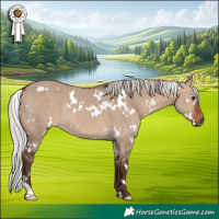 Horse Color:White Spotted Silver Bay Dun 