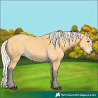 Horse Color:Silver Buckskin 