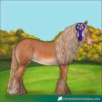Horse Color:Chestnut and Chestnut Varnish