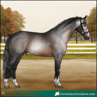 Horse Color:Gray Brown Rabicano 