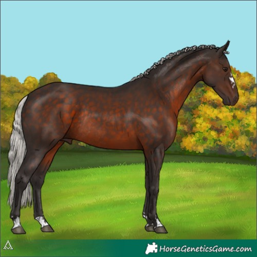 Horse Color:Silver Brown Rabicano 