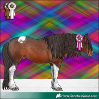 Horse Color:Brown Tobiano Appaloosa Rabicano 