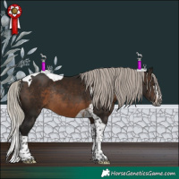 Horse Color:Gray Silver Brown Splash Tobiano Rabicano 