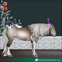 Horse Color:Gray Silver Brown Splash Tobiano Rabicano