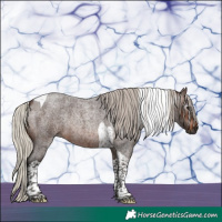 Horse Color:Gray Silver Brown Roan Tobiano Rabicano 