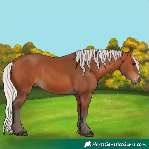 Horse Color:Silver Bay 