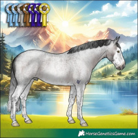 Horse Color:Gray Brown Roan Splash Rabicano 