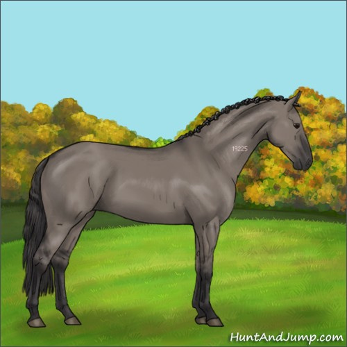 Horse Color:Smoky Grullo