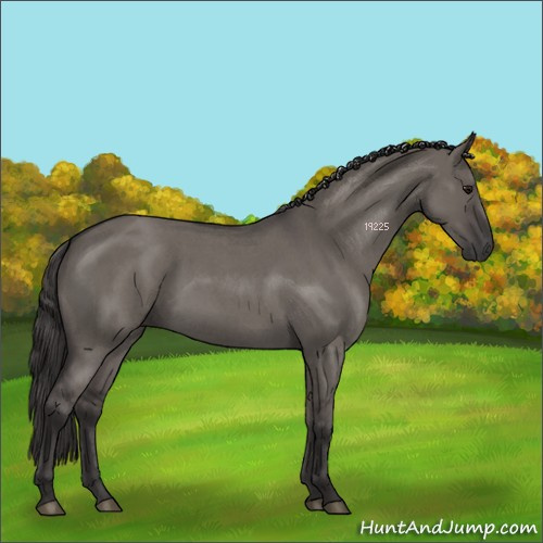 Horse Color:Smoky Grullo Roan