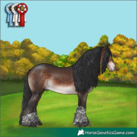 Horse Color:Bay Mushroom Tobiano 