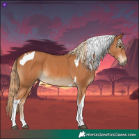Horse Color:Chestnut  and Chestnut Tobiano 