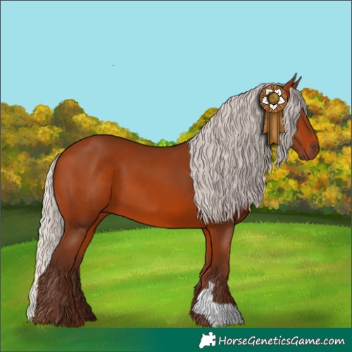 Horse Color:Silver Bay 