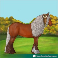 Horse Color:Silver Bay