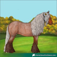 Horse Color:Silver Bay Roan 