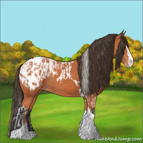 Horse Color:Bay Splash Tobiano Appaloosa  and Bay Splash Tobiano Appaloosa 