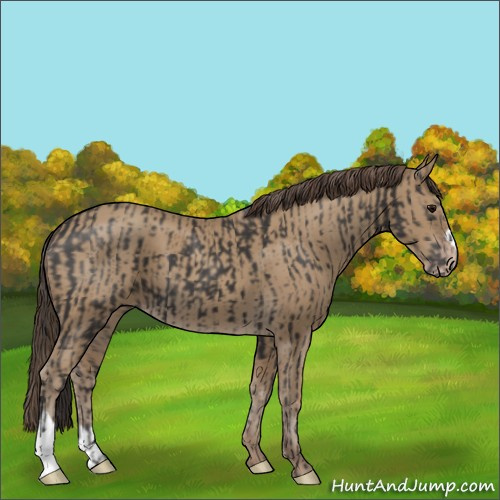 Horse Color:Smoky Black and Classic Cream Champagne