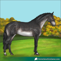 Horse Color:Platinum Brown 