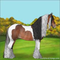 Horse Color:Bay Tobiano Rabicano 