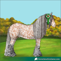 Horse Color:Bay Tobiano Snowflake Varnish 
