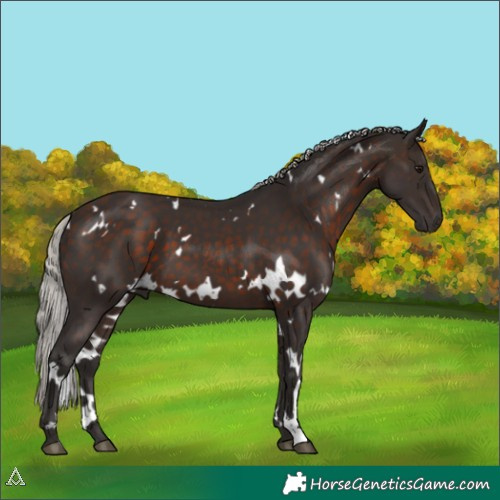 Horse Color:White Spotted Silver Brown 