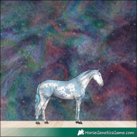 Horse Color:Watercolor White Spotted Brown Dun Splash Tobiano 