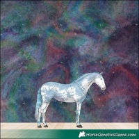 Horse Color:Watercolor White Spotted Brown Dun Splash Tobiano