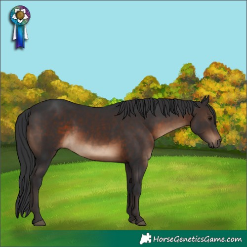 Horse Color:Brown Rabicano 