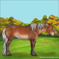 Horse Color:Bay  and Silver Bay 