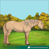 Horse Color:Red Dun 