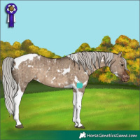 Horse Color:White Spotted Silver Brown Dun Tobiano Appaloosa Rabicano Brindle 