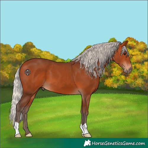 Horse Color:Silver Bay 