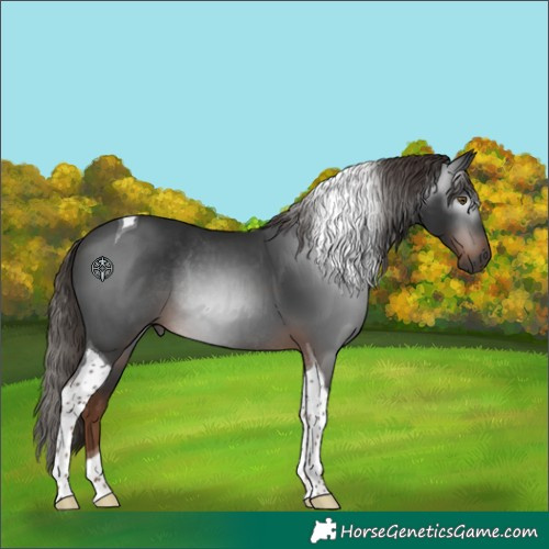 Horse Color:Gray Liver Chestnut Tobiano Rabicano 