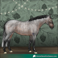 Horse Color:Gray Brown Roan Rabicano 
