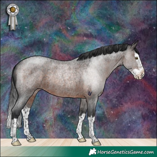 Horse Color:Brown Roan Splash Rabicano 