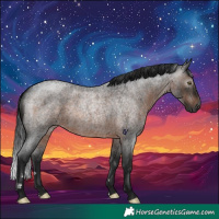 Horse Color:Gray Brown Roan Rabicano 